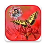 butterfly frames android application logo